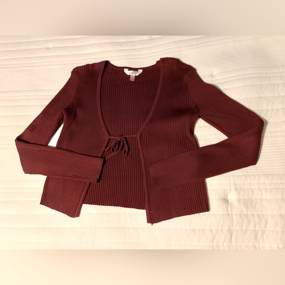 Maroon Crop Sweater